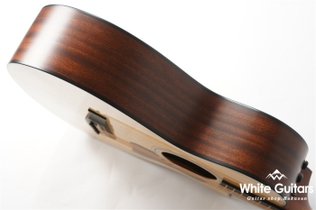 312ce 12Fret V-Class